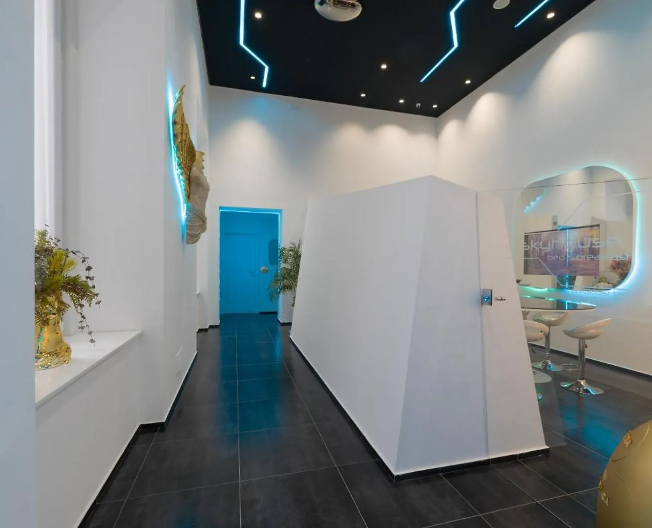Skyhouse Chiaia Bed & Breakfast Naples 2*,